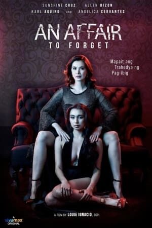 Xem phim Quên Một Cuộc Tình  - An Affair to Forget (2022)