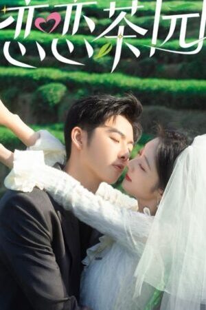 Xem phim Đồi Trà Tình Yêu  - Love in the Tea Garden (2024)