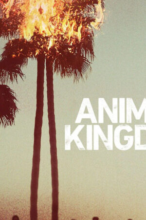 Tập 01 Vương quốc động vật ( 1) - Animal Kingdom (Season 1) (2016)-Animal Kingdom (Season 1)