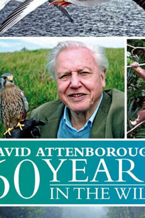 Tập 2 60 Năm Trong Hoang Dã - Attenborough 60 Years In The Wild (2012)-Attenborough 60 Years In The Wild