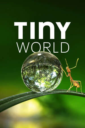 Tập 4 Thế Giới Siêu Nhỏ ( 1) - Tiny World (Season 1) (2019)-Tiny World (Season 1)