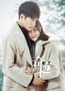 Tập 19 Cậu Là Kỳ Tích Của Tôi - You are the Miracle (2019)-You are the Miracle