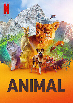 Tập 2 Động vật ( 1) - Animal (Season 1) (2021)-Animal (Season 1)