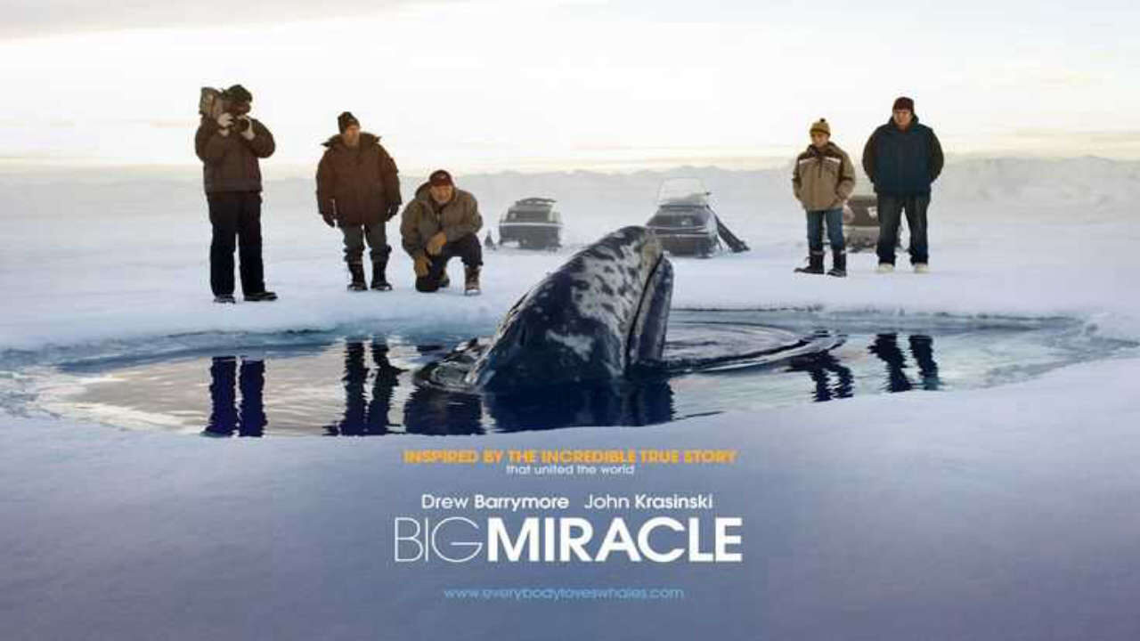 Poster of Big Miracle