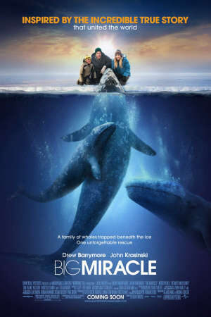 Tập full Phép Màu (2012) - Big Miracle (2012)-Big Miracle