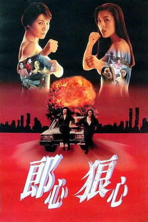 Xem phim Trên Đường Bôn Tẩu  - Women on the Run (1993)