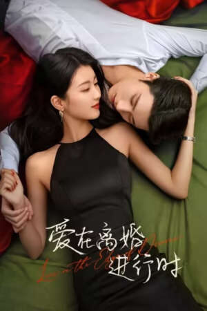 Xem phim Yêu Khi Sắp Ly Hôn  - Love on the Edge of Divorce (2025)